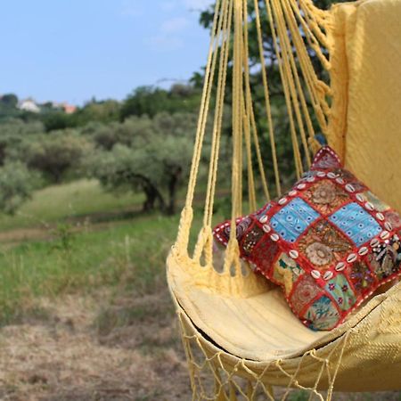 Villa Sarno Montesilvano Marina Екстериор снимка