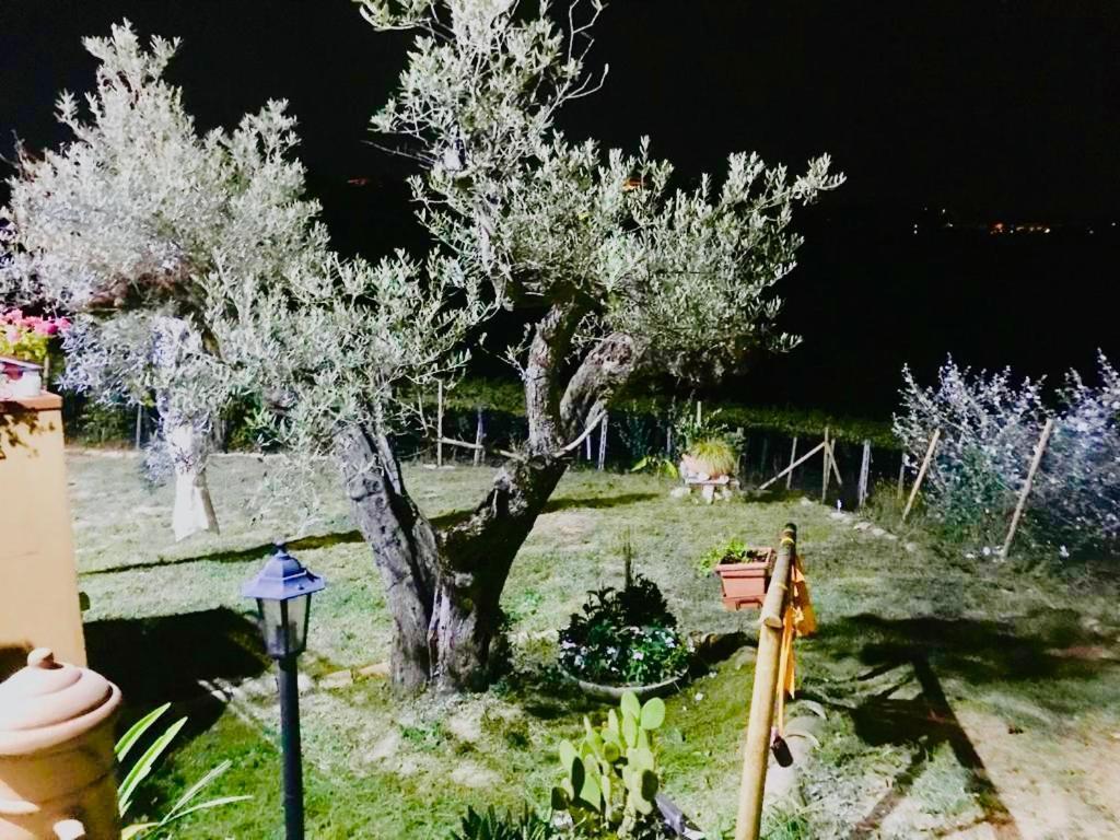 Villa Sarno Montesilvano Marina Екстериор снимка